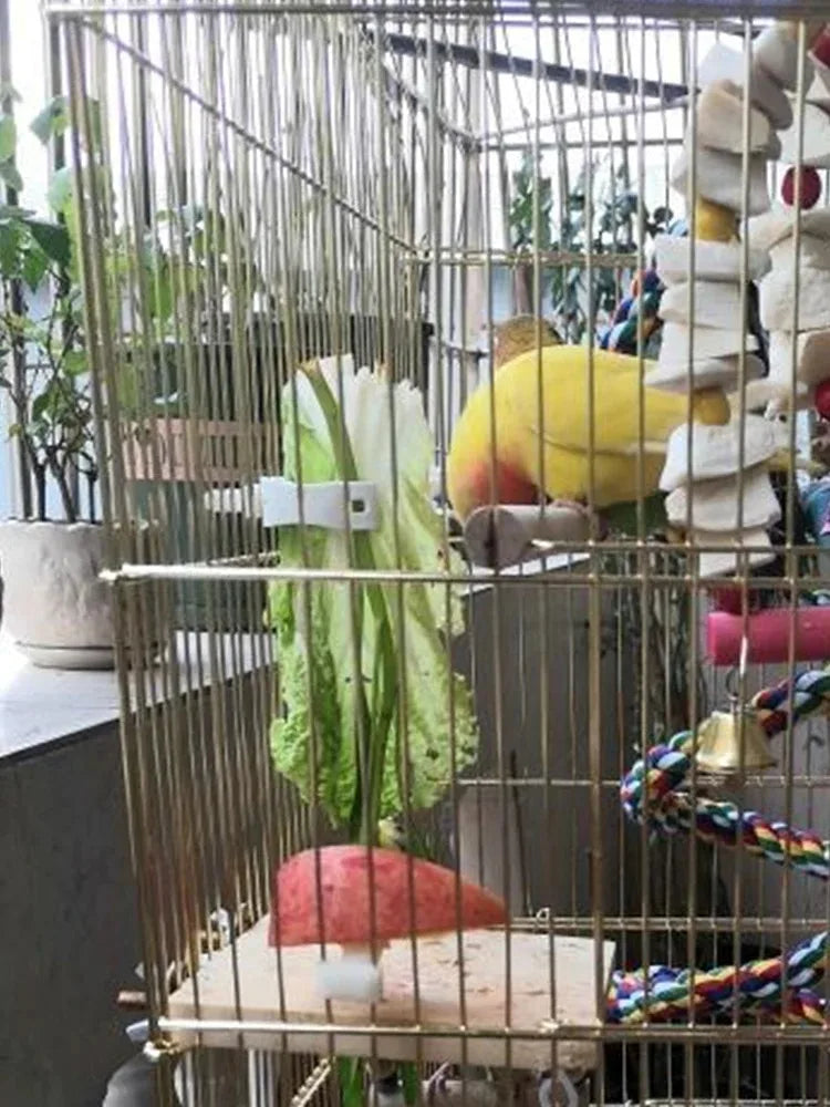 Cute Small Pet Bird Food Holder | Parrot Fruit & Veggie Clip | Cuttlefish Bone Feeder | Cage Clamp Tool | Accessories for Canaries & Cockatiels