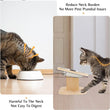 Elevated Cat Dog Bowls | 15° Tilted Raised Pet Bowls | Double Wooden Stand | Stainless Steel Food & Water Bowls | For Cats & Small Dogs | Pet Supplies