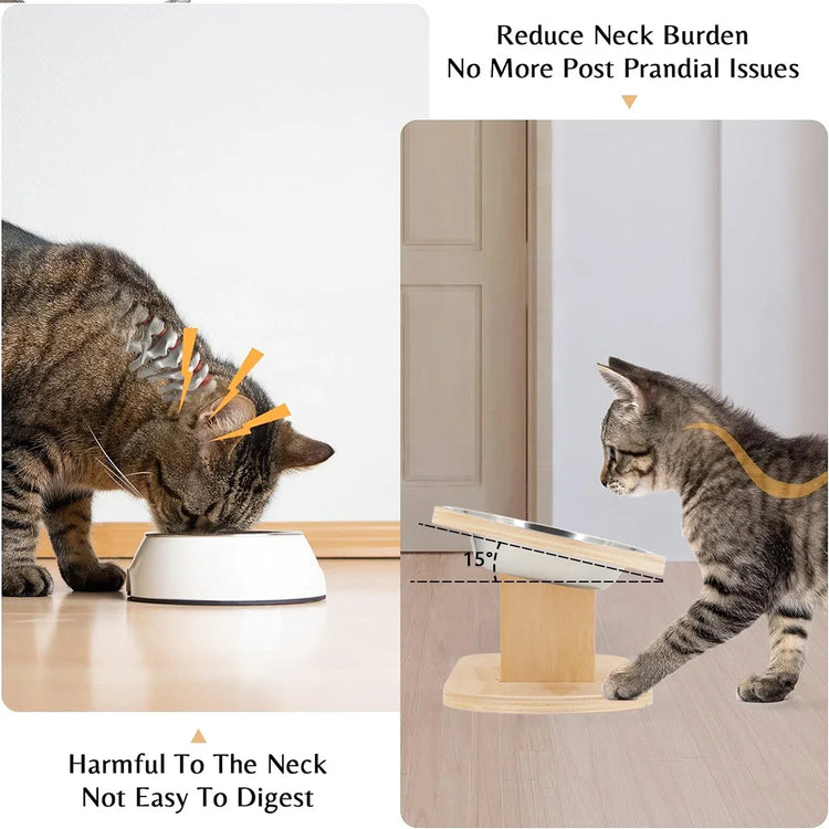 Elevated Cat Dog Bowls | 15° Tilted Raised Pet Bowls | Double Wooden Stand | Stainless Steel Food & Water Bowls | For Cats & Small Dogs | Pet Supplies