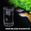 Aquarium Feeding Ring Floating Food Tray with Suction Cup – Transparent Acrylic Fish Feeder