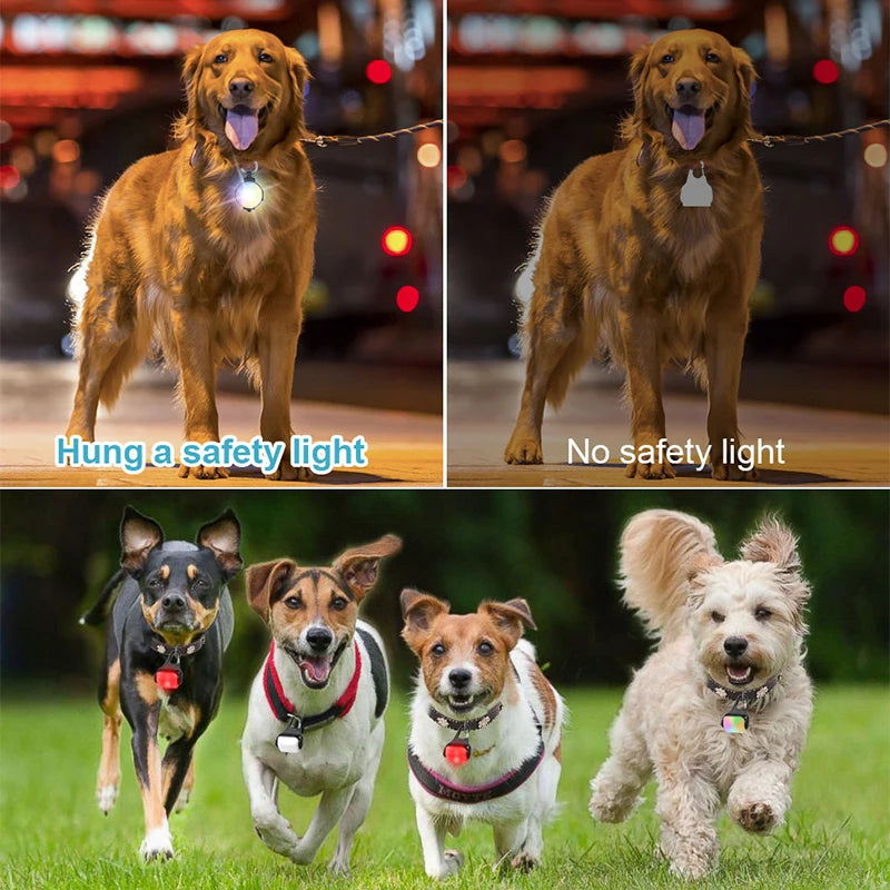 2 Pack LED Dog Collar Lights – USB Rechargeable, Luminous Safety Pendant for Night Walking