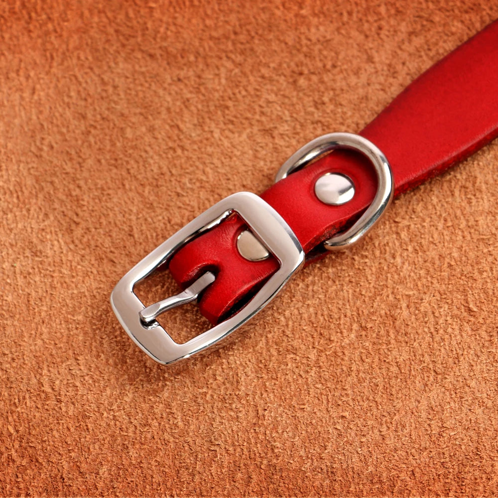 Genuine leather dog collar and leash set – durable and comfortable for small to medium dogs