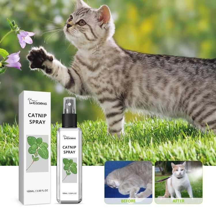 Natural Catnip Spray | Happy Water Formula for Cats | Promotes Appetite | Relieves Anxiety | Boosts Vitality | Pet Training Aid | Mood Enhancer