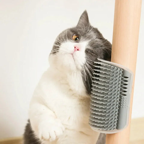 Cats Groomer Self Brush | Pet Massage Comb | Wall Corner Scratcher | Removable Self-Grooming Brush | Cat Cleaning Supplies