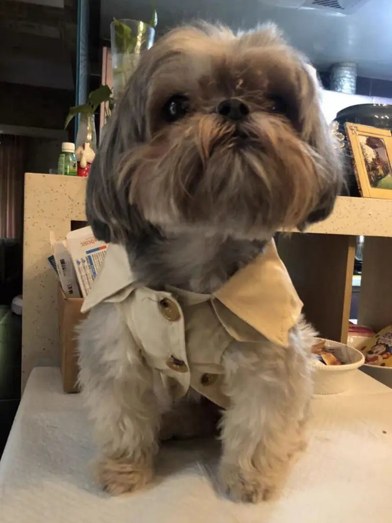 Pet Dog Clothes British Style Trench Coat Winter Thicken Jacket Coat Costumes Hoodies Clothes for Small Puppy Dogs Cat Clothing