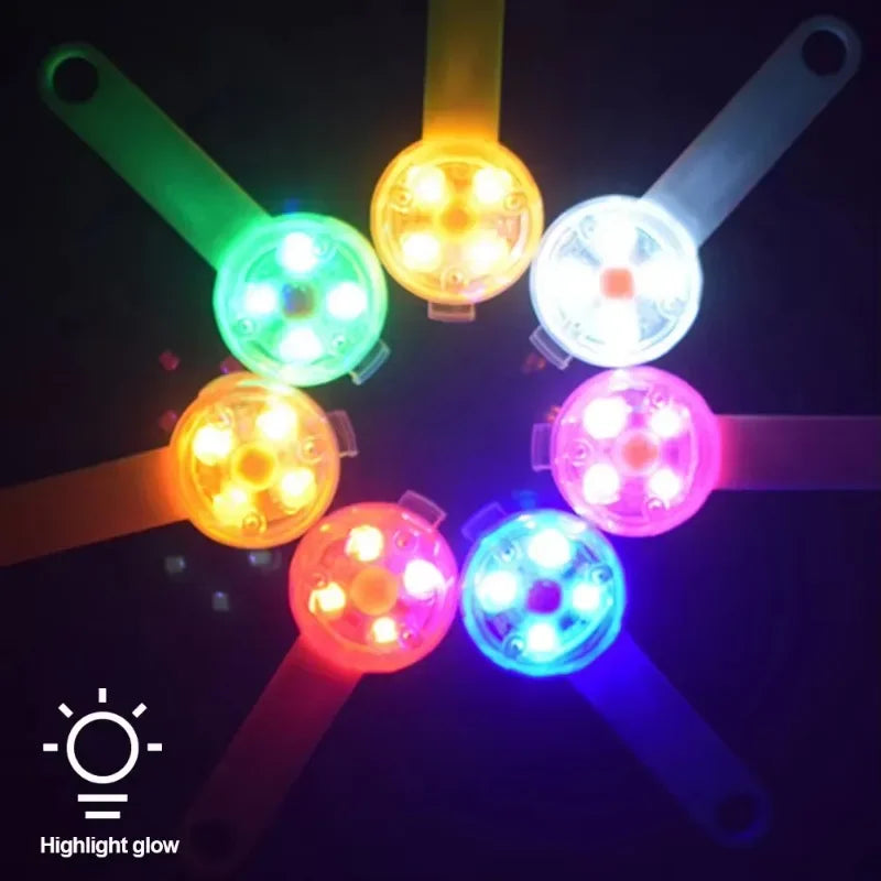 LED Glowing Dog Collar – USB Rechargeable Safety Light Collar