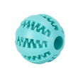 Interactive Rubber Dog Ball Toy – Chew, Clean Teeth & Snack Dispenser