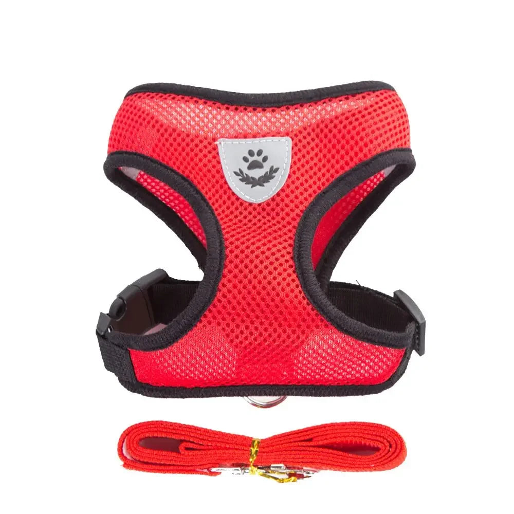 Adjustable Nylon Dog Harness with Walking Lead – Comfortable Mesh Vest for Small and Medium Pets