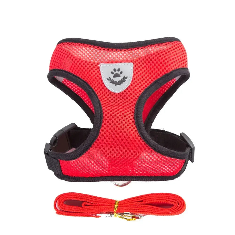 Adjustable Nylon Dog Harness with Walking Lead – Comfortable Mesh Vest for Small and Medium Pets