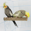 Parrot Pet Standing Stick | Wood Hanging Stand Rack | Toy Sticksstand Branch Perches for Bird Cage | Bar Paw Grinding Clean Toys