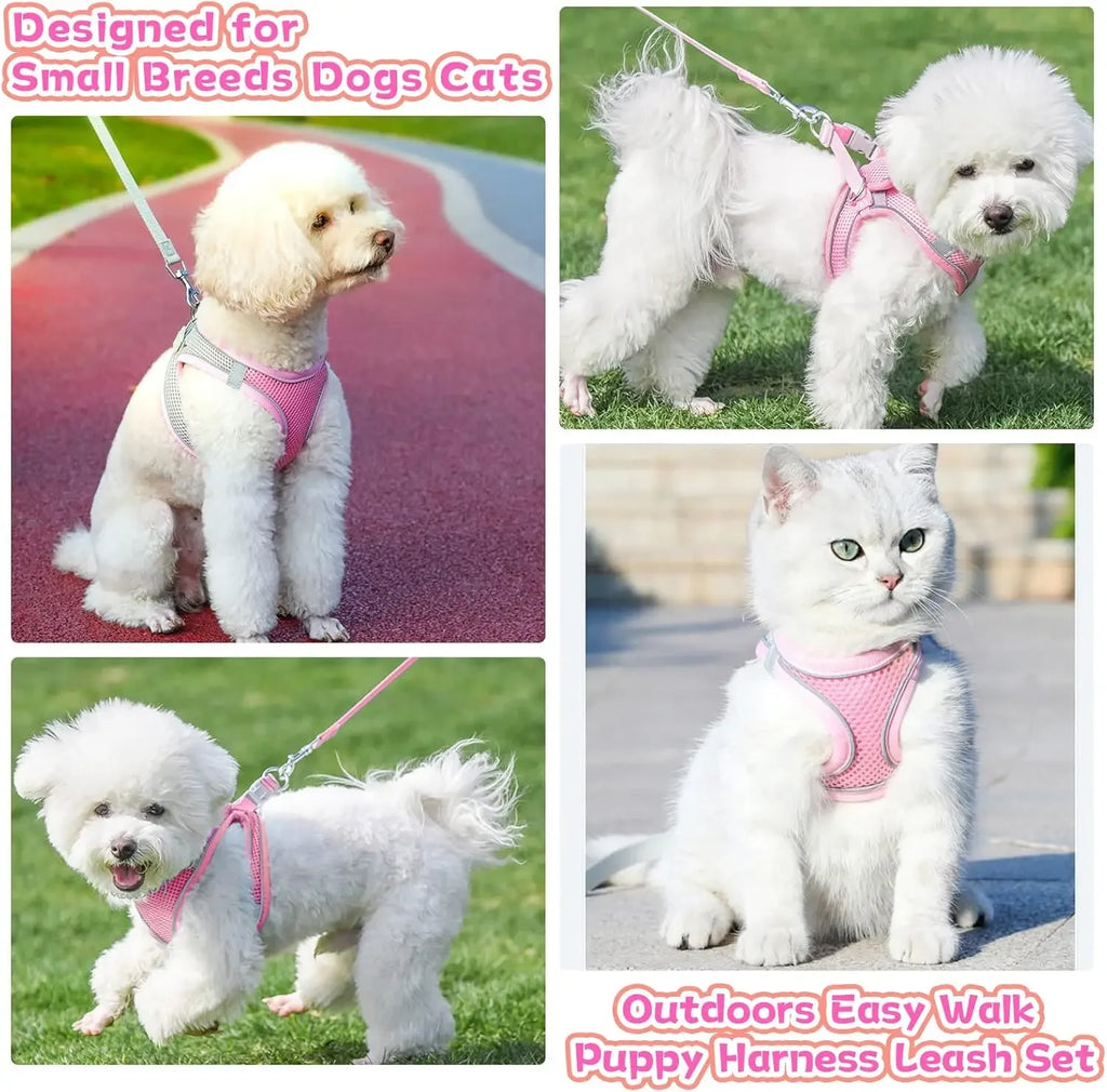 Cat Harness Leash Set | Adjustable Dog & Cat Collar | French Bulldog Harness Vest | Puppy & Chihuahua | Outdoor Walking Lead Leash