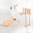 Bird Cage Accessories Set | Wooden Perches, Swing, Ladder, Platform, Toys for Parrots & Small Birds