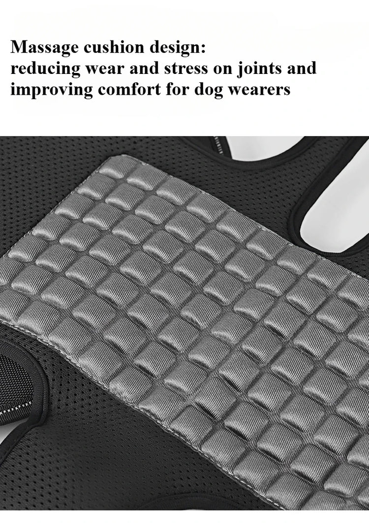 Outdoor Dog Carrier Backpack for Large Breeds – Hiking & Travel Pet Carrier