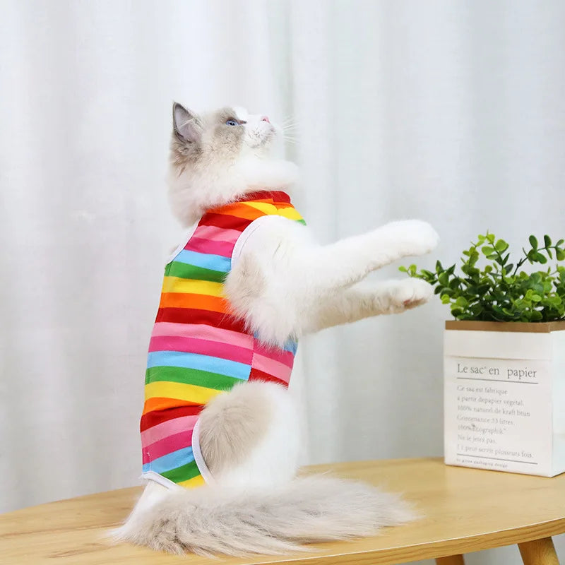 Post-Surgery Sterilization Suit for Female Cats | Anti-Licking Recovery Vest | Weaning Suit