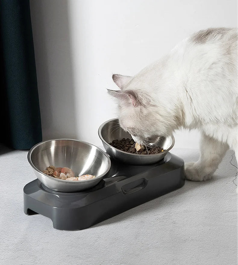 Cat Bowl | Lovely Creative Inclined Feeder | Kitten Puppy Food Bowl | Stainless Steel Pet Dish | 15° Tilt Neck Protector | Anti-Slip Dog Cat Feeder