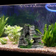 Aquarium Sandstone Decoration – Mountain View Resin Rocks with Caves, Fish & Shrimp Shelter, 11cm