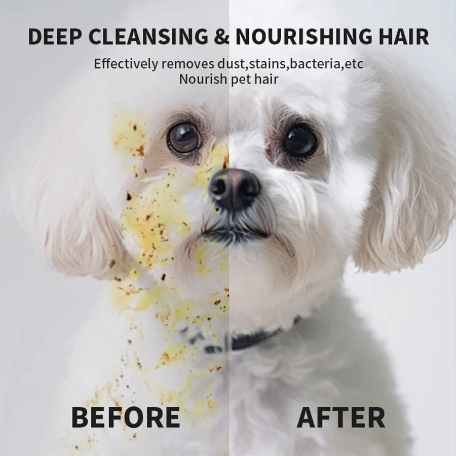 Cleaning Wipes Gloves for Dog/Cat | Deodorizing Bath Wipes | Grooming Glove for Paws, Face, Ears, and Body | Daily Pet Care Supplies