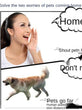 Adjustable Stainless Steel Dog Training Whistle – Stop Barking & Control Aid