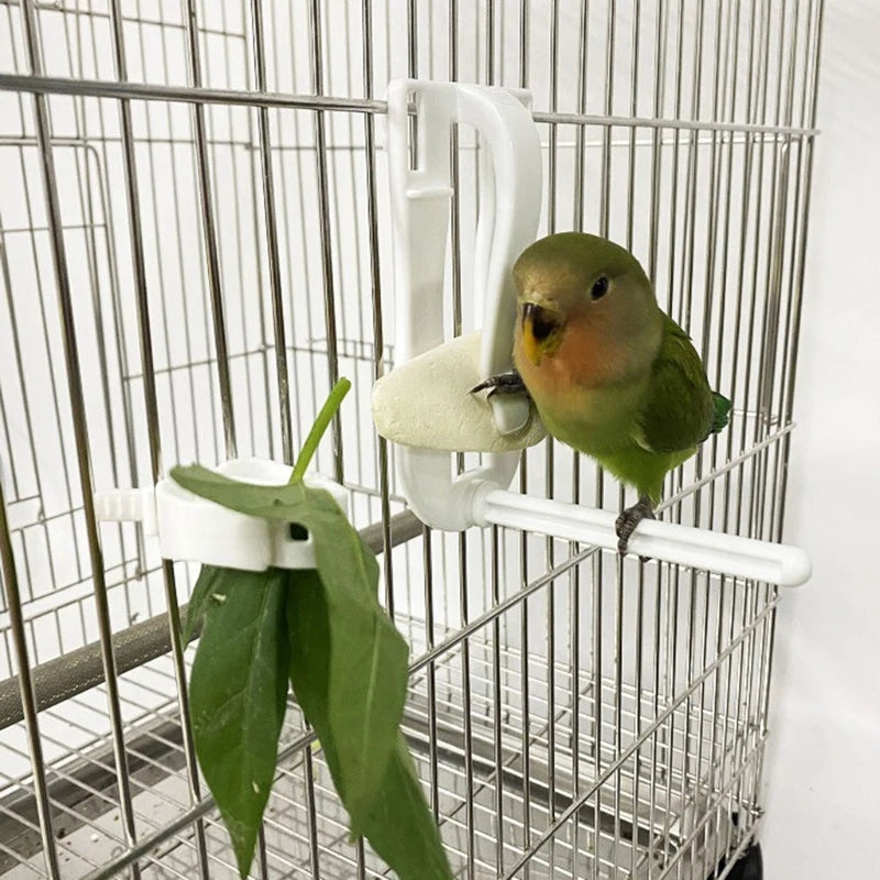 Bird Food Holder Clip | Parrot Cage Feeding Tool | Fruit & Cuttlebone Clamp for Birds & Rodents | White Plastic Pin Clip