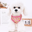 Cartoon Pet Dog Clothes
