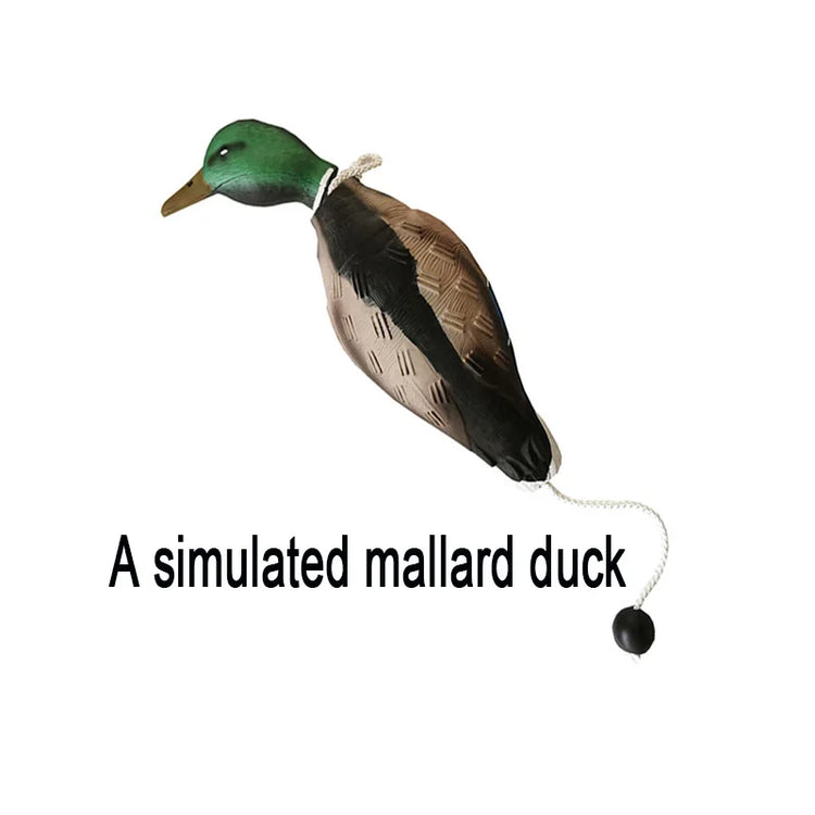 Dog Training Duck Dummy | Waterfowl Retrieval Training Toy for Dogs