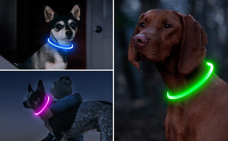 LED Luminous Dog Collar Light Rechargeable Flashing Safety Collar for Nighttime Walking