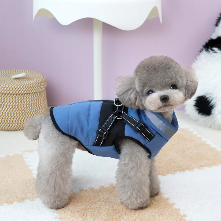 Warm Winter Clothes for Small & Medium Dogs | Windproof Puppy Jacket Vest | Chihuahua, French Bulldog & Yorkie Outfit