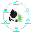 Interactive Dog Toothbrush Toy – Durable Chew Toy for Teeth Cleaning and Training