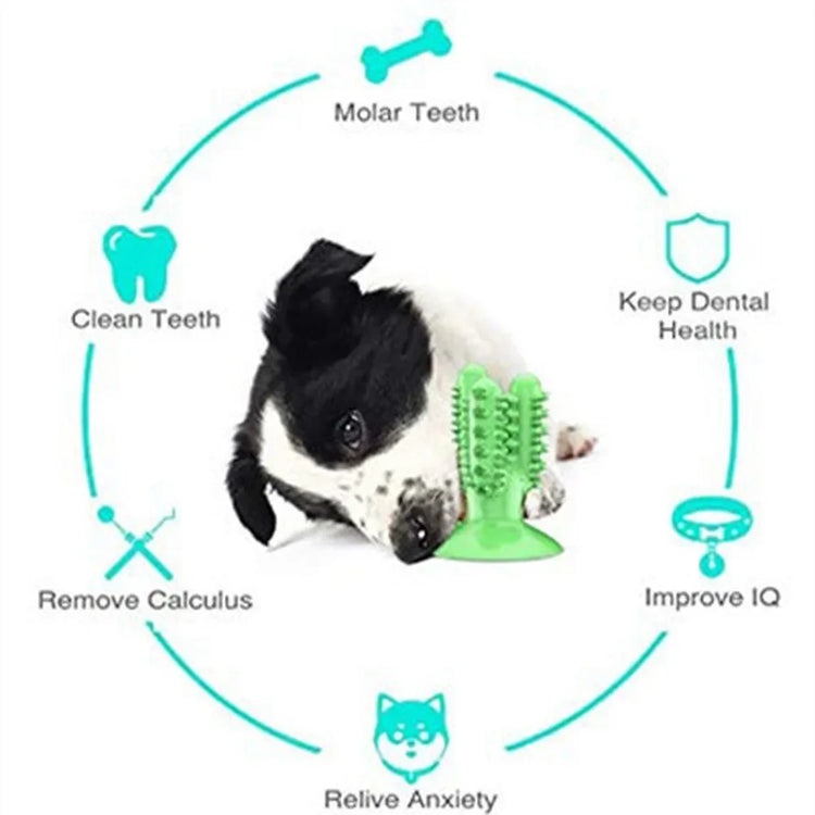 Interactive Dog Toothbrush Toy – Durable Chew Toy for Teeth Cleaning and Training
