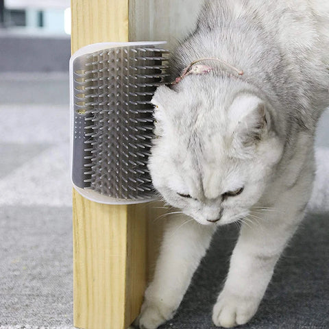 Cat Massage Brush – Self-Grooming Tool with Catnip | Wall/Door/Table Mountable Cat Massage Brush for Cats | Cat Toys