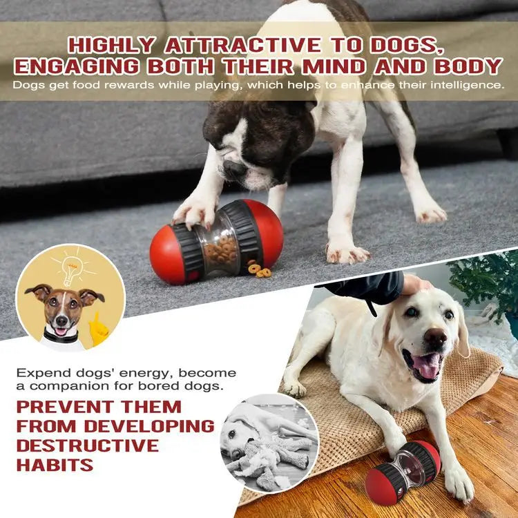 Dog Slow Feeder Training Ball – Interactive Treat Dispensing Toy