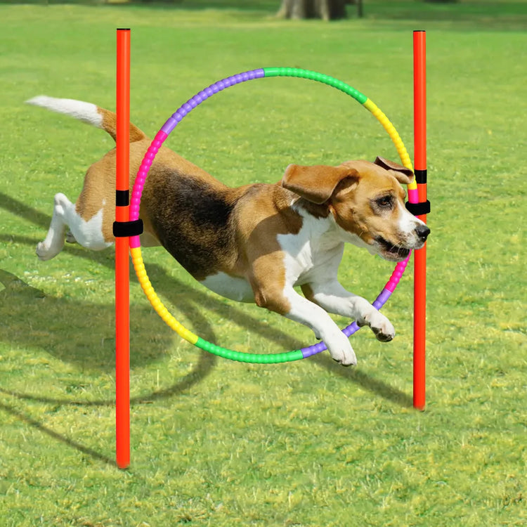 Portable Dog Agility Equipment Jumping Training Tool for Outdoor Exercise