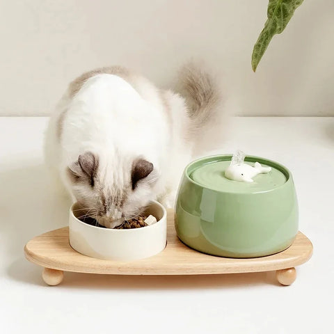1.3L Ceramic Cat Water Fountain | USB Rechargeable Pet Water Dispenser | Automatic Circulating Filter for Cats & Small Dogs