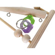Bird Swing Toy | Wooden Parrot Perch Stand with Chewing Beads for Budgie Birds