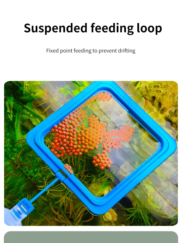 Floating Fish Food Feeder Ring with Suction Cup – Square & Circle Aquarium Station