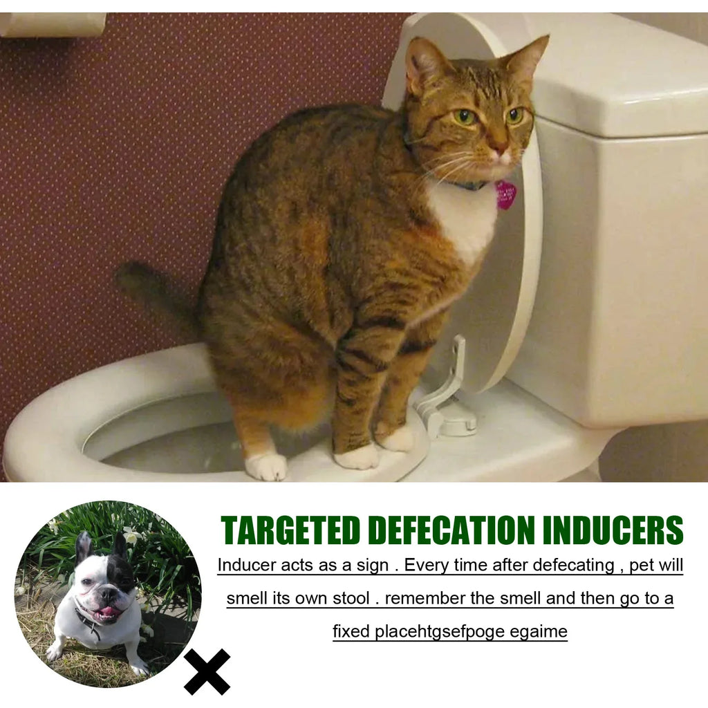 Pet Toilet Training Spray  30ml | Dog /Cat Potty Trainer | Natural Extract Formula