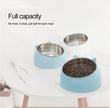 Stainless Steel Pet Bowl | Inclined Cat Dog Feeder | Creative Anti-Spill Design | Removable Inner Bowl | Feeding Bowl for Cats & Small Dogs