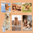 Dog Paw Cleaner Automatic Pet Foot Paw Washer Electric Paw Massager USB Cable Operated for Small Medium Dogs Cats