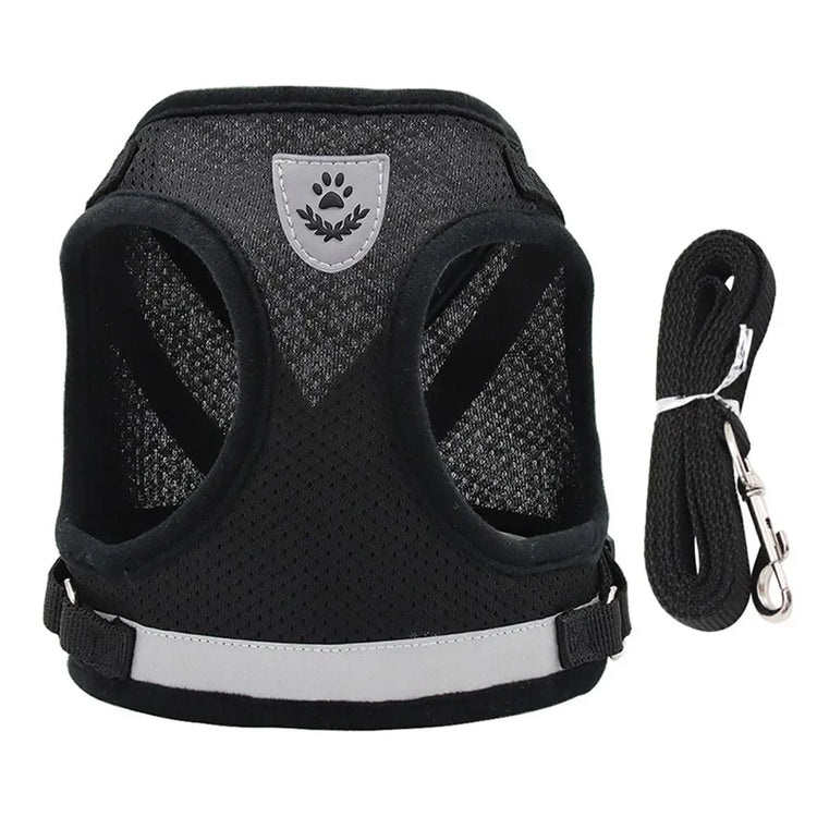 Cat Harness | Lead Leash Set | Adjustable Reflective Escape Proof Pet Mesh Vest Harness | Puppy Dog Collar | Small Dog Cat Pet Supplies