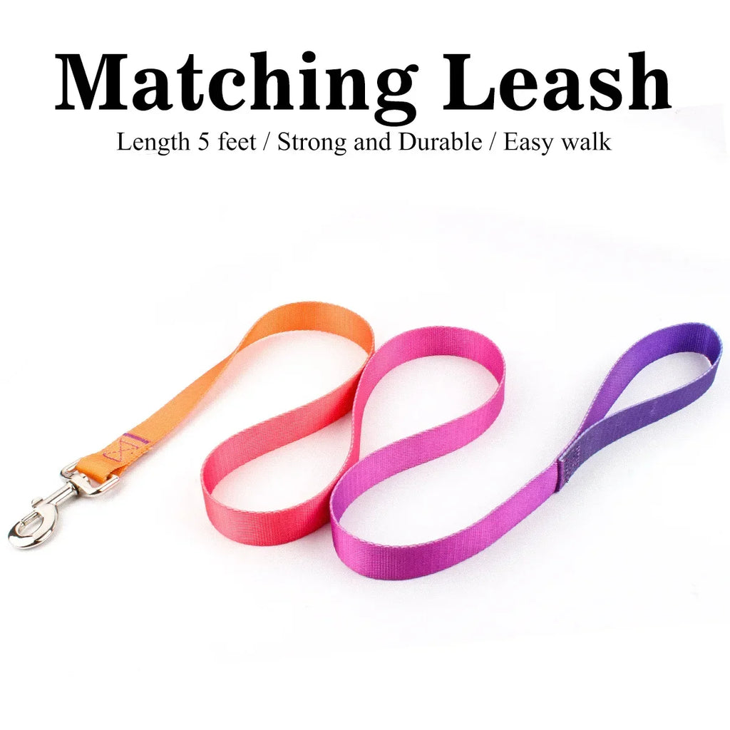Adjustable Dog Collar & Leash Set – Personalized Nylon Traction Lead for Small to Large Dogs