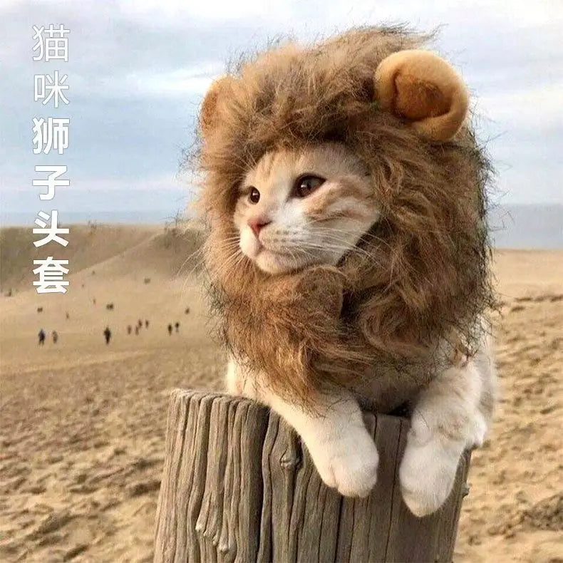 A HAT FOR CAT | Cute Costume Cap | Adjustable Warm Hat | Soft Cat Headwear | Small Pet Outfit | Funny Cat Hat | Pet Accessories