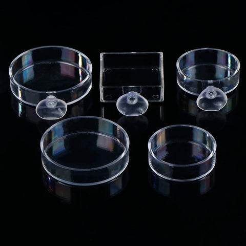 Acrylic Transparent Shrimp Feeder – Lightweight Durable Fish & Shrimp Feeding Container
