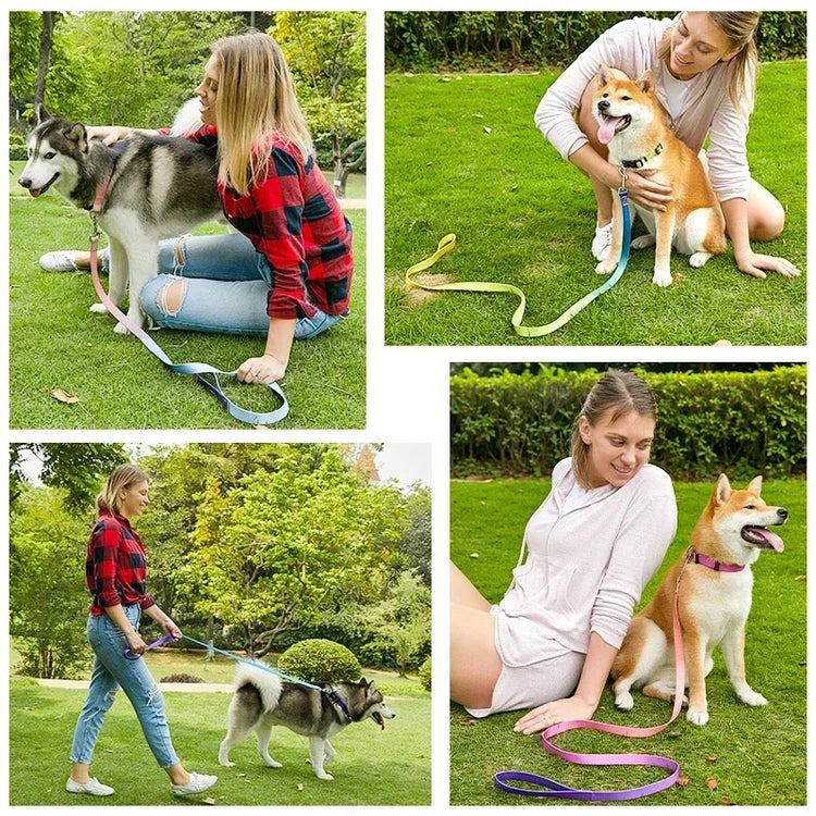 Adjustable Dog Collar & Leash Set – Personalized Nylon Traction Lead for Small to Large Dogs