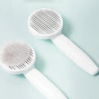 1Pc Cat Comb | Hair Removal | Pet Magic Comb | One Click Floating Hair Remover | Cat Dog Universal Cleaning | Grooming Beauty Supplies
