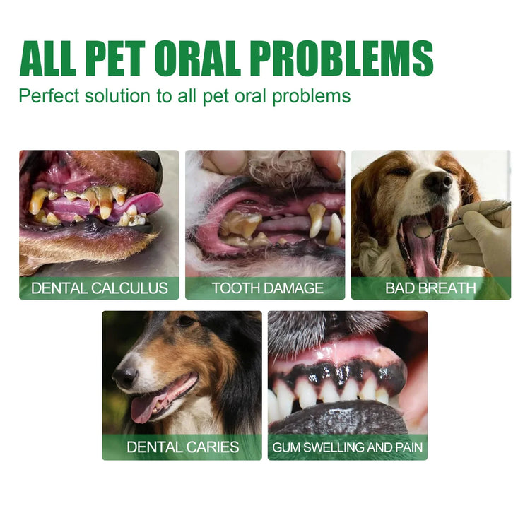 Pet Teeth Cleaning Spray 30ml – Dog & Cat Oral Care, Breath Freshener, Tartar & Stain Remover