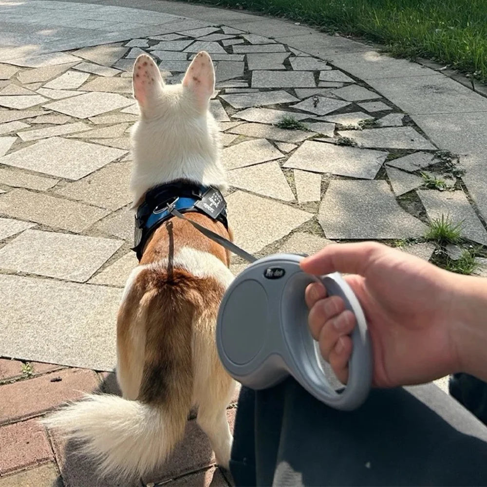 Dog Leash Automatic Retractable Pet Leash For Small Medium Dogs Cat Lead Extend Outdoor Walking Traction Rope Chihuahua Supplies